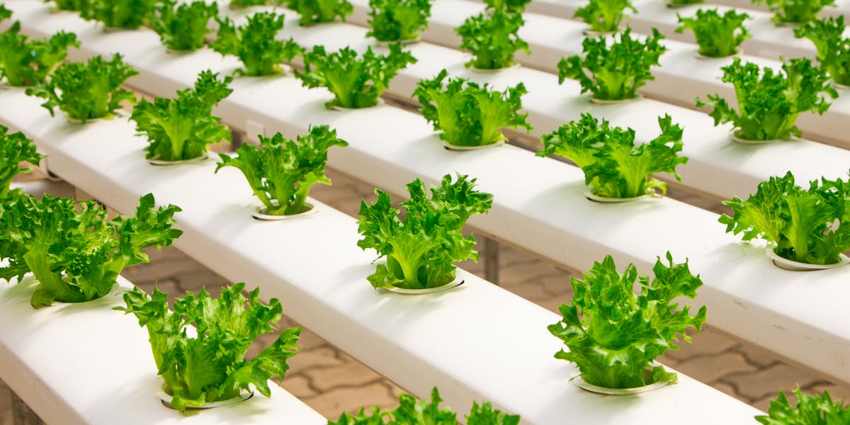 agrotech brasil
