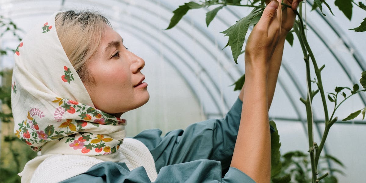 agrofuturo colômbia